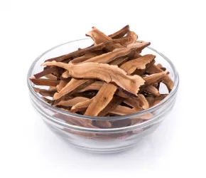 Los hongos, ¿clave para el rejuvenecimiento?